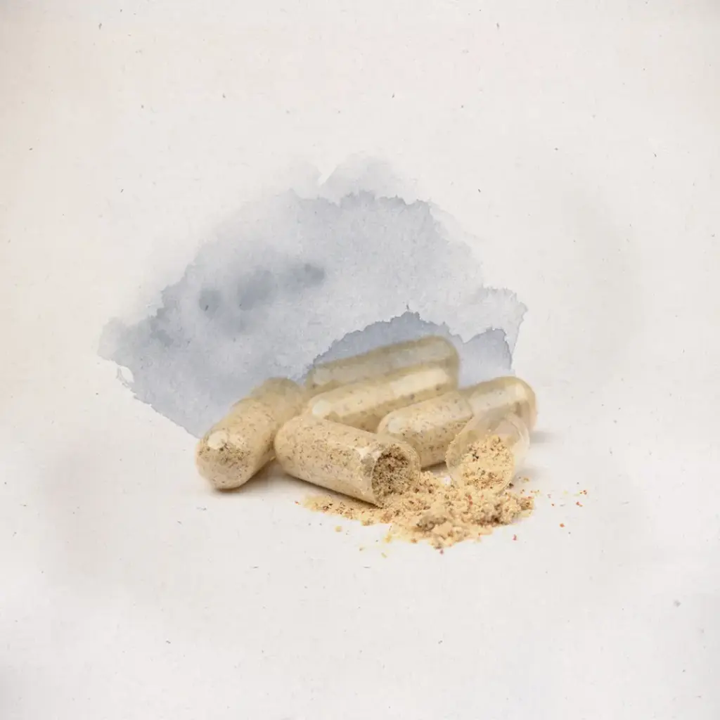 Rhodiola Rosea 60 cápsulas de 500mg.