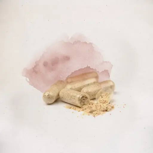 [HA.MAI.60C] Maitake 60 Cápsulas de 400mg