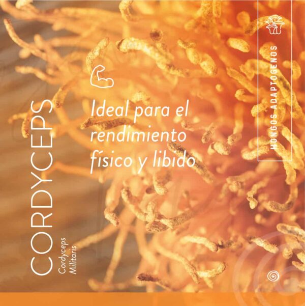CORDYCEPS