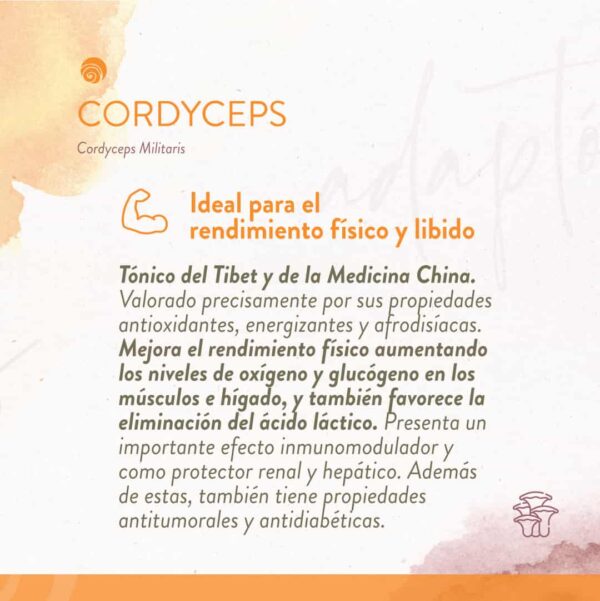 CORDYCEPS - Imagen 2